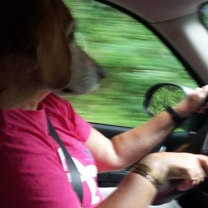 Meet your Posher, Ronda